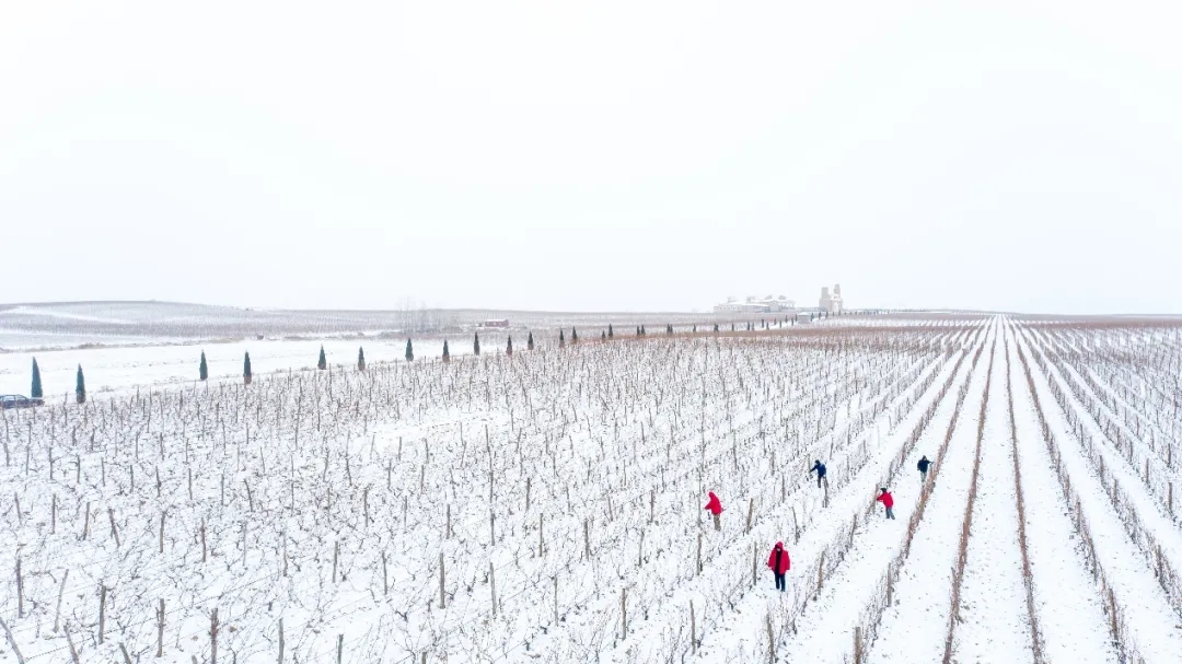 九顶庄园 | 雪，是自然送给大地的情书