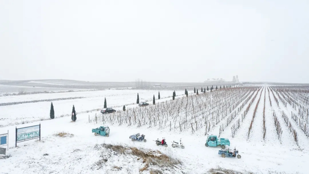 九顶庄园 | 雪，是自然送给大地的情书