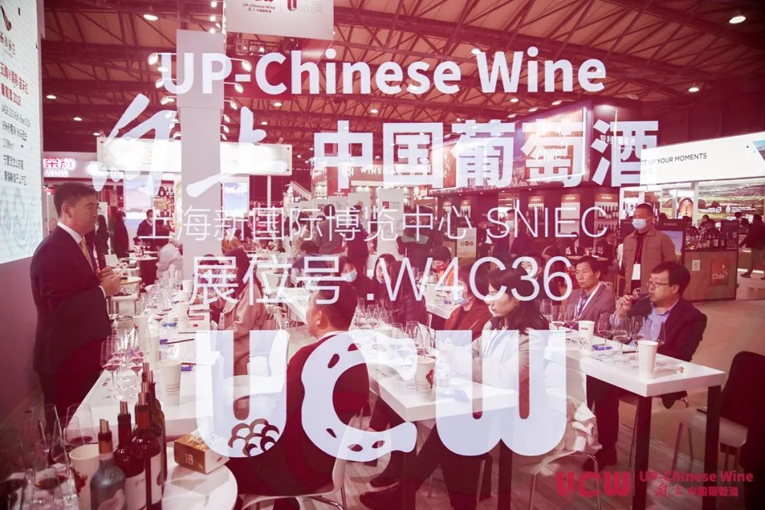 九顶庄园ProWine China 2021 回顾